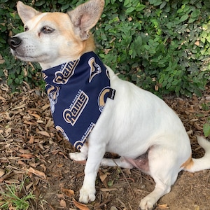 Rams sales dog jersey