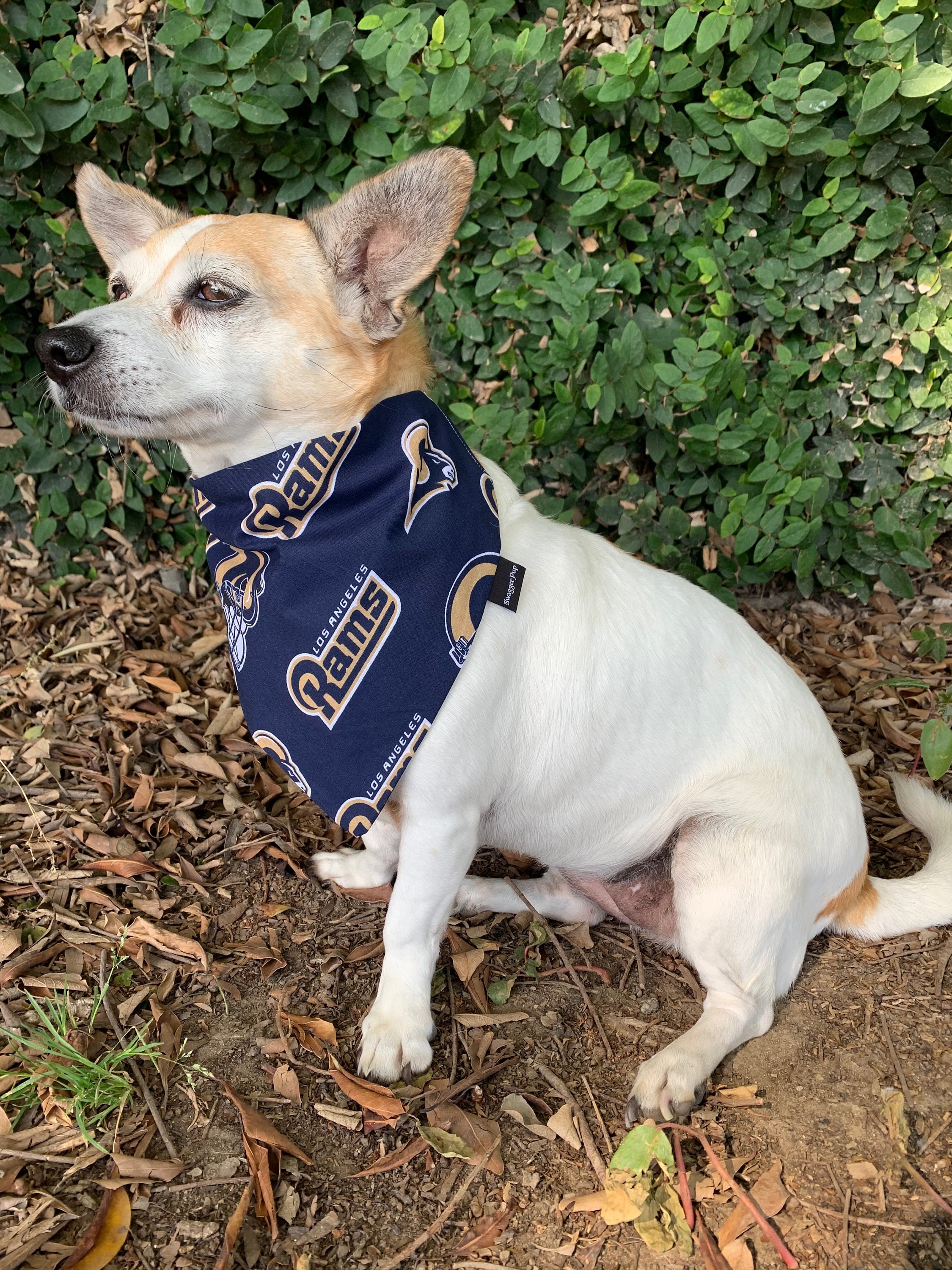 Rams Dog Bandana. Handcrafted Dog Accessories for Your Pet. 