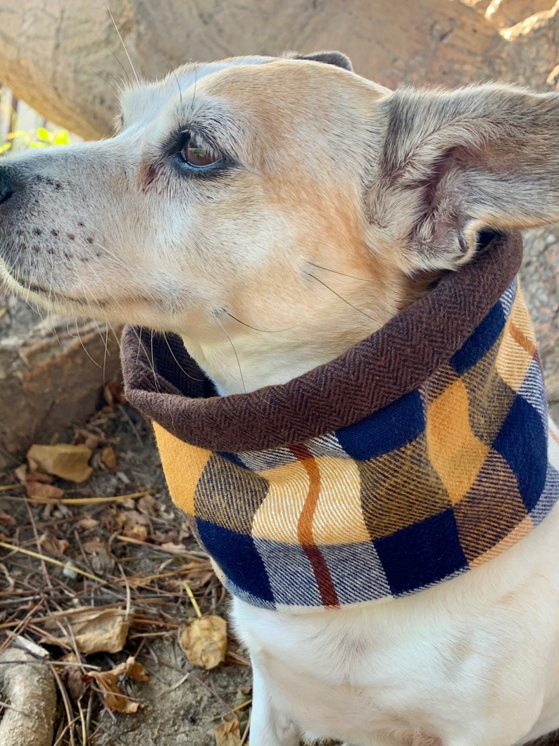 The Street Is Your Dogs Runway Infinity Dog Scarf I specialize in Unique Stylish Accessories for your Dog Trendy Swagger your Pup!