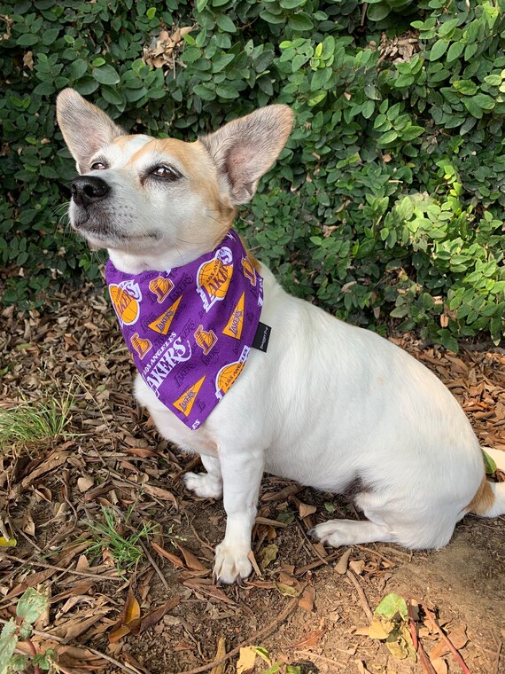 Corgi Pet Bandana - Purple Corgi Pet Bandana - Purple