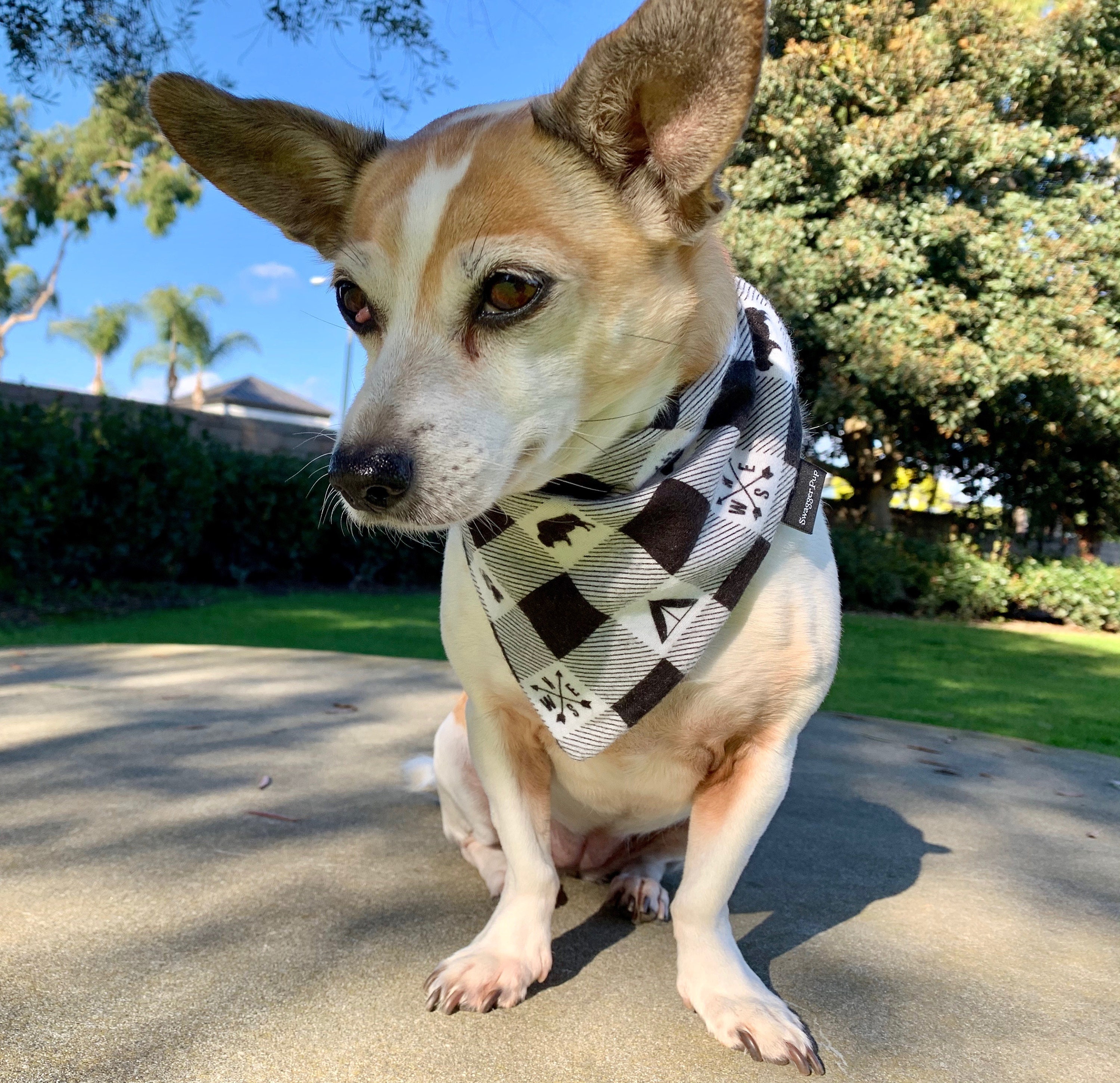 Outdoor Adventure Flannel Dog Bandana. Handcrafted Dog Accessories