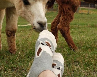 Calcetines de alpaca confeccionados con lana de alpaca y estampado de alpaca: unos calcetines deportivos adorables para los amantes de los animales, ideales para el verano.