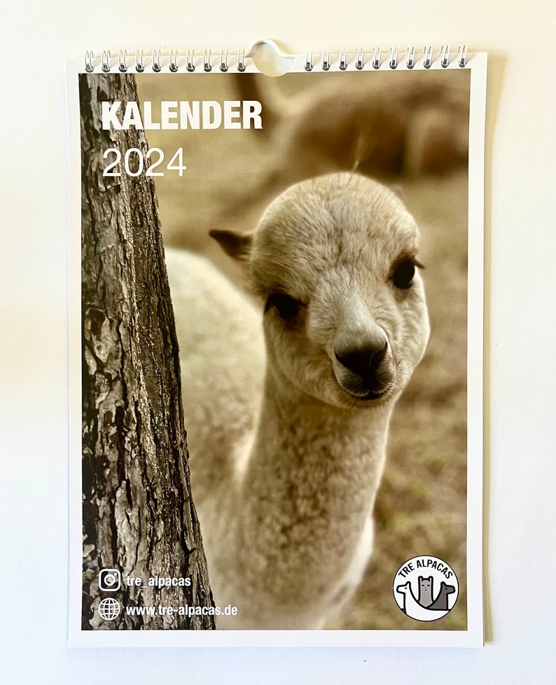 Alpaca Calendar 2024 Cute Animal Calendar With Adorable Etsy UK