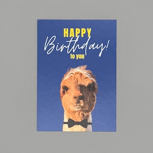 Carte d'anniversaire alpaga drôle et mignonne – Carte postale DIN A6 – Carte humoristique pour les fans d’alpagas & d’animaux