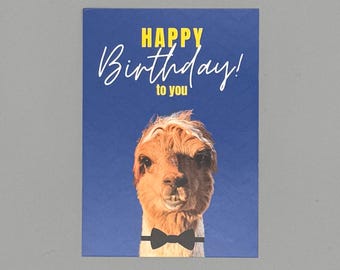 Funny Alpaca Birthday Card with Cute Design – Animal Postcard DIN A6 – Humorous Birthday Card for Alpaca Lovers & Animal Fans
