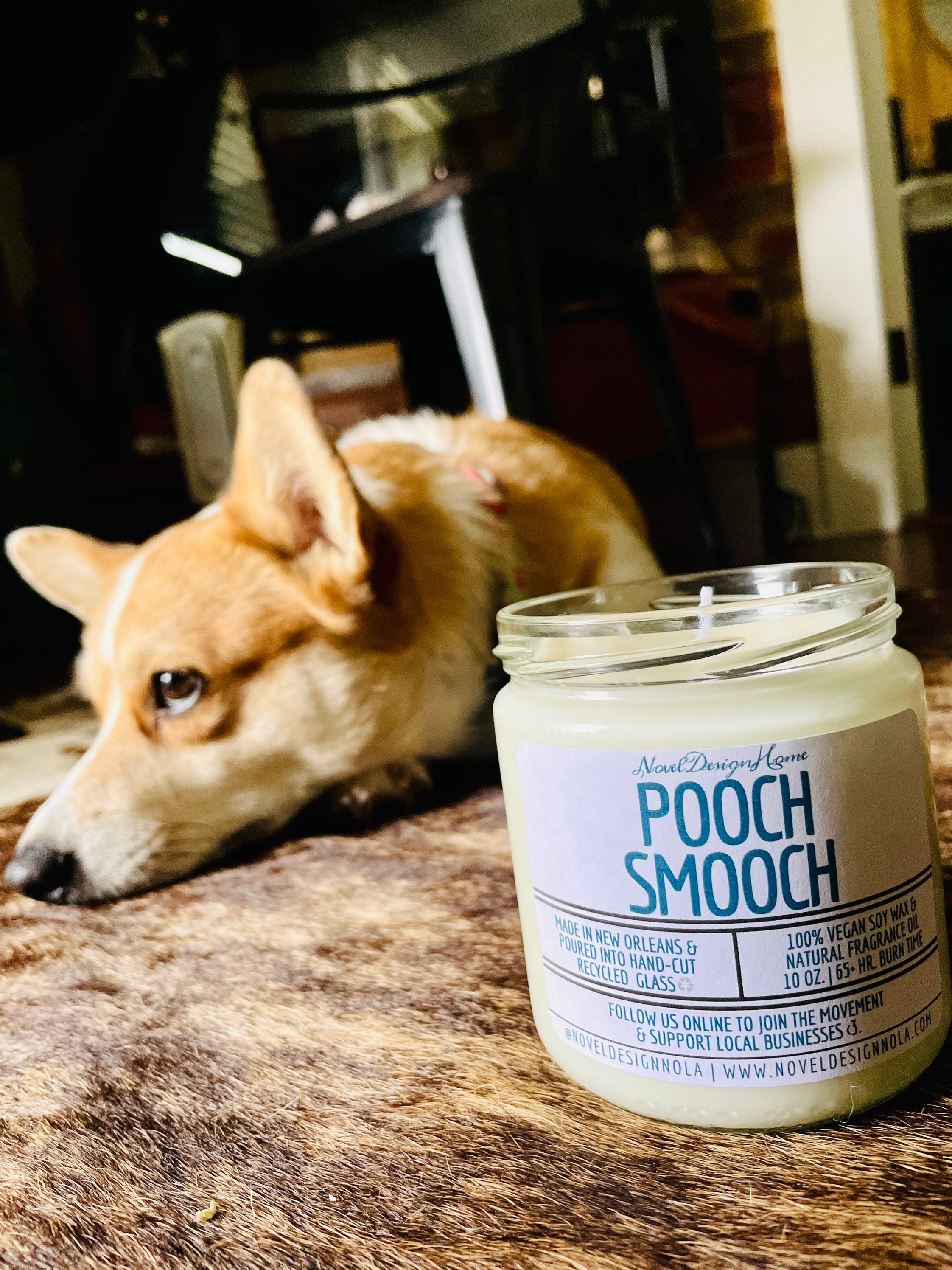 POOCH SMOOCH Scented Candle for a Dog Lovers Pet Odor Etsy