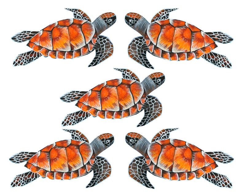 Nature Sticker 5 x Turtle Stickers Ocean Sticker Vinyl Sticker High Quality Sticker Waterproof sticker