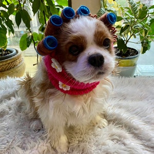 Sorry I can’t talk Hot Girl Snood Cavalier Spaniel Snood Cocker English Toy Spaniel Snood Ear Protectors Dog Snood Ear Snood Hand Knit
