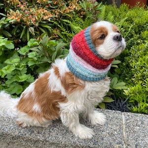 The Cozy Every Day  Bubbles Snood Cavalier Spaniel Snood Cocker English Toy Spaniel Snood Ear Protectors Dog Snood Ear Snood Hand Knit