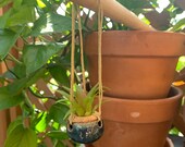 Little tiny handmade ceramic hanging planter miniature pottery small car rear view mirror plant