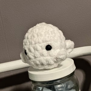Pocket Pal Beluga