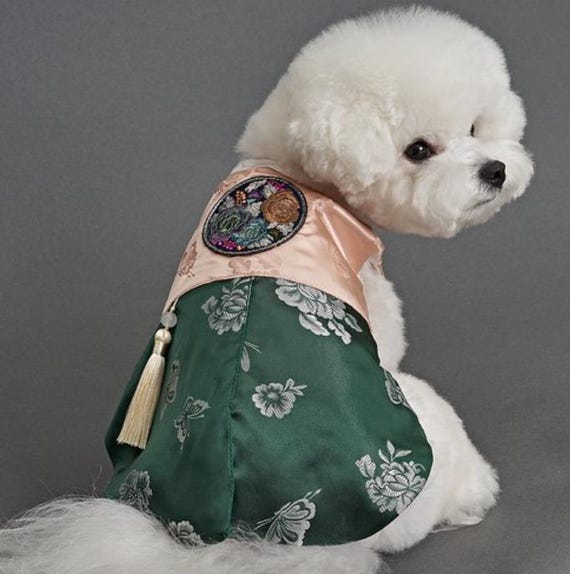Korean Dog Clothes: Stylish Trends to Keep Your Pup Cozy