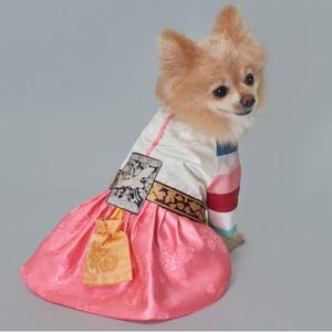 Hanbok women&#39;s dog clothes size s~2XL