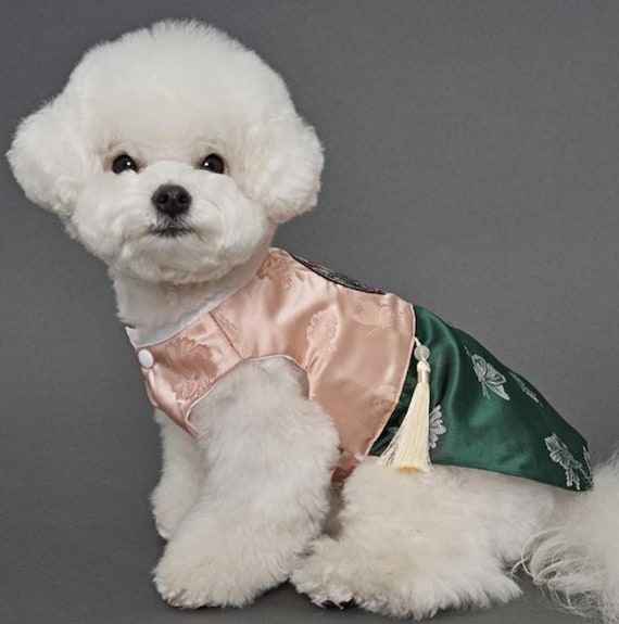 Korean Hanbok Style Dog Outfit Fit for Small to Medium Pets - Etsy