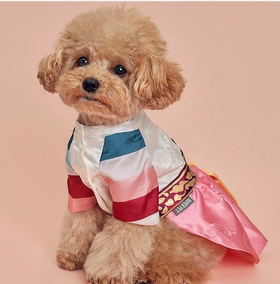 Traditional Korean Hanbok for Small Female Dogs , Cats – Pink
