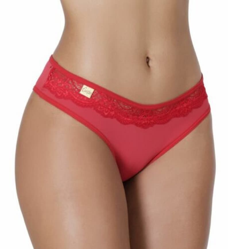 Delicate Quality Microfiber Tanga Panties Made In Brazil. Tanga Camila. image 2