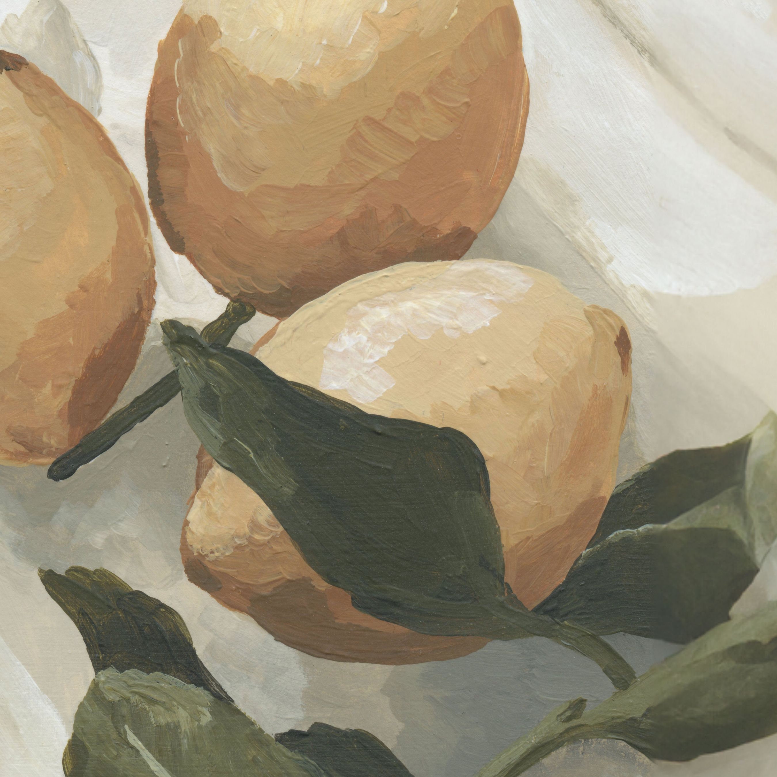 Sunlit Citrus | Physical Giclee Print - Etsy