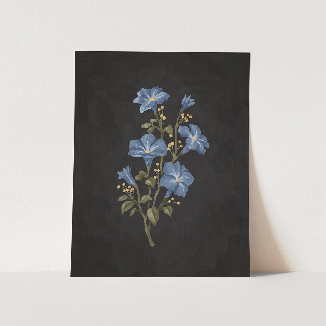 September Birth Flower Print | Morning Glories - Etsy