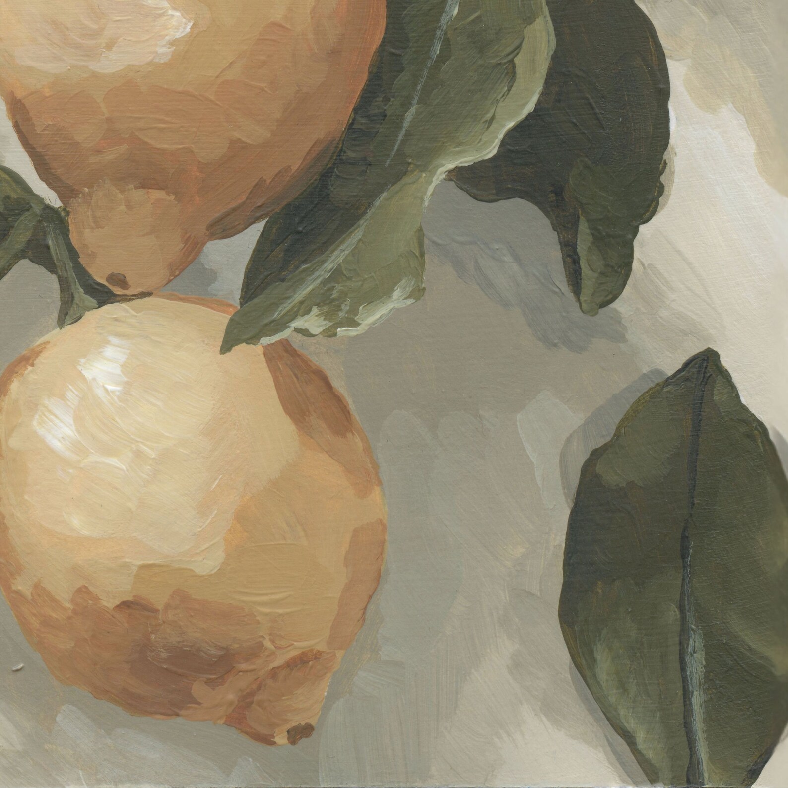 Sunlit Citrus | Physical Giclee Print - Etsy