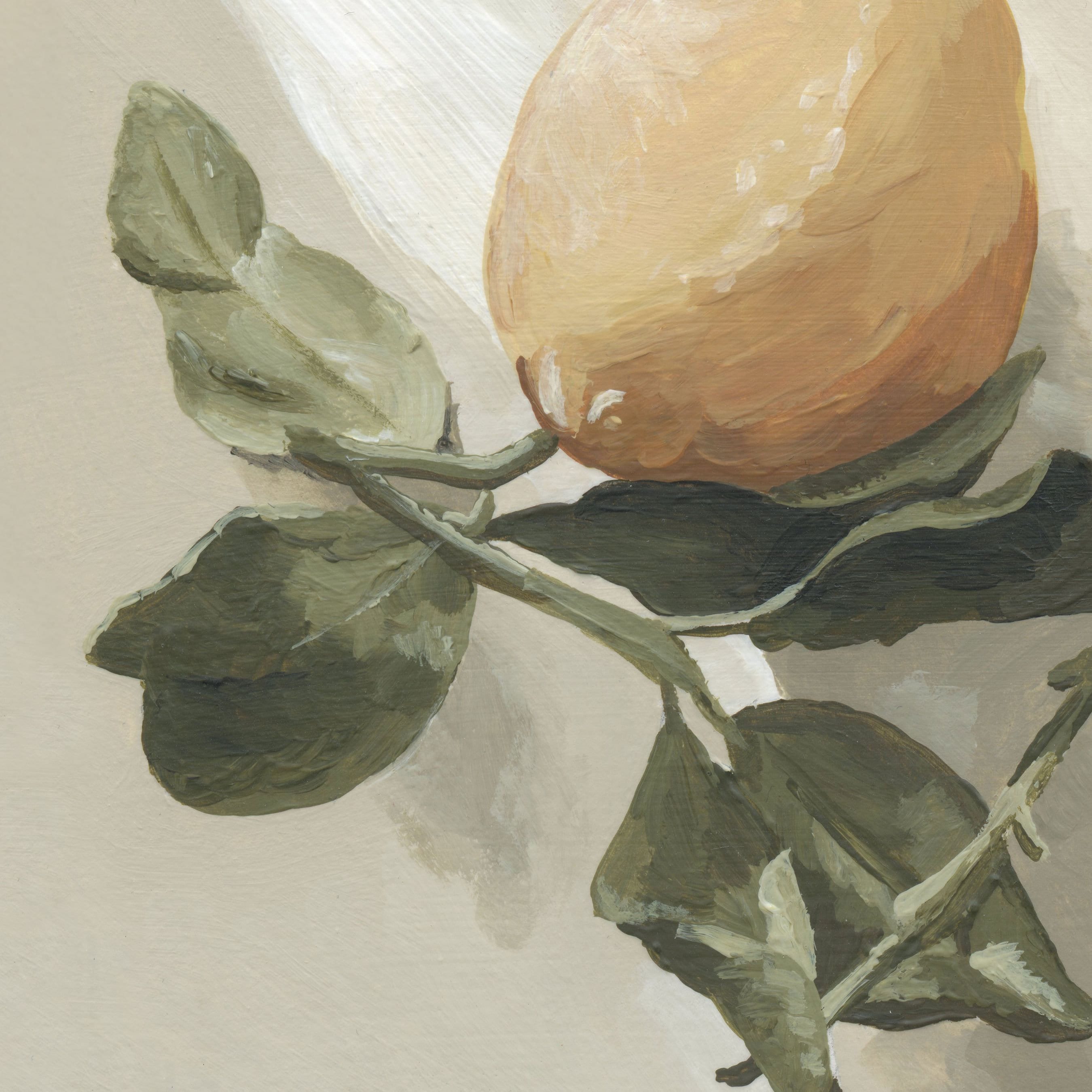 Sunlit Citrus | Physical Giclee Print - Etsy