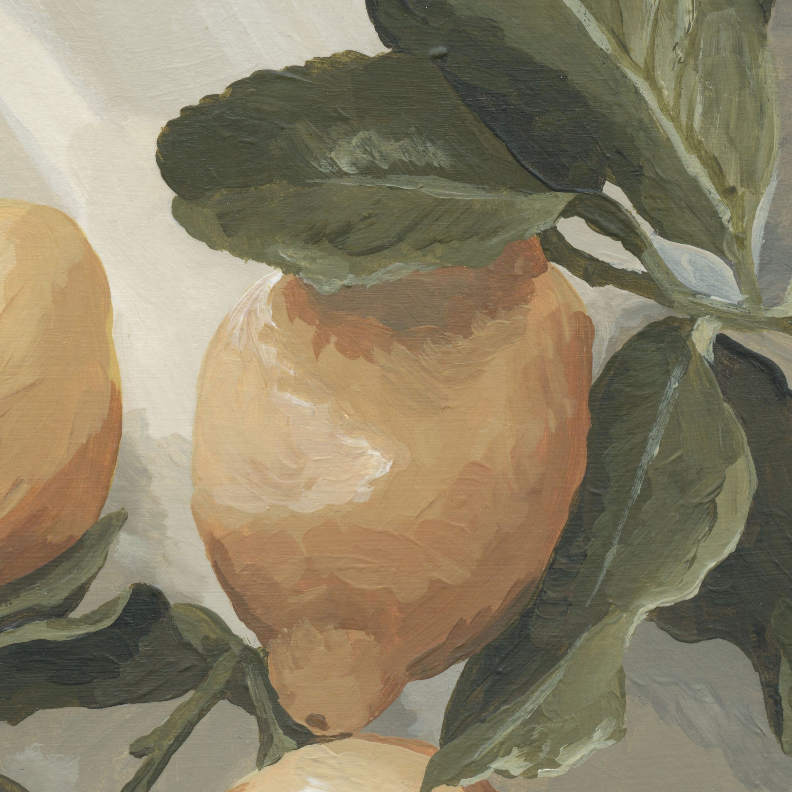 Sunlit Citrus | Physical Giclee Print - Etsy