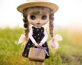 Amazing Handmade Doll Suitcase Doll Bag Paper Rattan Suitcase for 1 6 Scale Blythe Azone OB24 Fashion Royalty Poppy Parker Momoko FR2