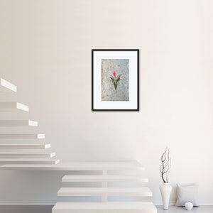 May include: A framed print of a pink tulip with green leaves on a white background.