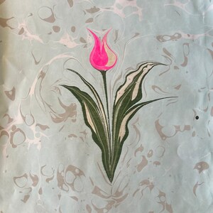 May include: A pink and white tulip with green leaves on a light blue background with white and gray marbling.