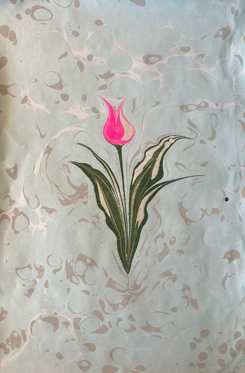 May include: A pink and white tulip with green leaves on a light blue background with white and gray marbling.