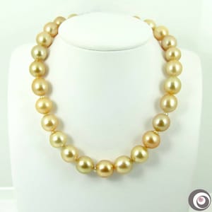 Natural GOLDEN South Sea Cultured Pearl Strand / Necklace (12.0 to 13.9mm) #F720