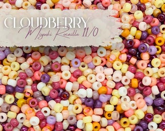 May include: A close-up of a collection of small, colorful beads in shades of pink, purple, yellow, and orange. The beads are labeled "CLOUDBERRY Miyuki Rocaille 11/0". These beads are likely used for jewelry making or crafting.