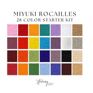 Può includere: Un kit di partenza di perline Miyuki Rocaille in 28 colori. L'immagine mostra una griglia di piccole perline colorate, tra cui tonalità di rosa, rosso, arancione, verde, blu, viola, bianco e marrone. Il testo "MIYUKI ROCAILLES 28 COLOR STARTER KIT" è in alto.