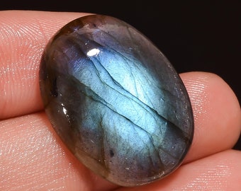 Excellent AAA Quality 100/% Natural Trilobite Fancy Shape Cabochon Loose Gemstone 13 Ct For Making Jewelry 28X13X5 mm NG-7