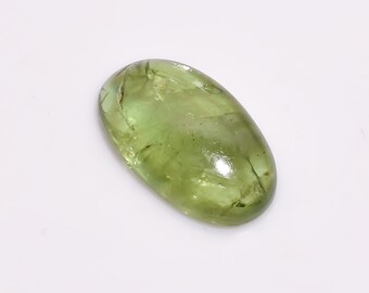 Excellent AAA Quality 100/% Natural Trilobite Fancy Shape Cabochon Loose Gemstone 13 Ct For Making Jewelry 28X13X5 mm NG-7