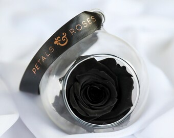 May include: A single black rose preserved in a clear glass dome with a black ribbon tied around it that says "Petals & Roses".