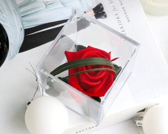 Luxury Red Forever Rose Cube Gift | Real Preserved Infinity 1 Year Rose | Thoughtful Rose Gift for Her | Anniversary, Birthday, Christmas