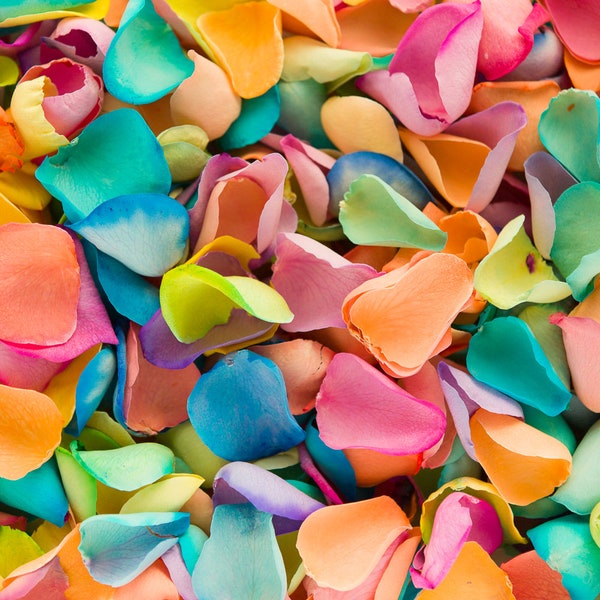 Rainbow Dried Rose Petals | Real Dyed Rose Petals | Petals for Wedding Confetti, Festivals, Parades, Party Décor, Crafting