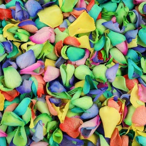 Petali di rosa secchi arcobaleno / Petali di rosa tinti autentici / Petali per coriandoli da matrimonio, festival, sfilate, decorazioni per feste, artigianato