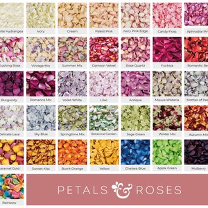 Coriandoli per matrimonio - Petali di rosa / Petali di ortensia / Petali liofilizzati biodegradabili / Decorazioni da tavola, runner da corridoio, petali per damigelle