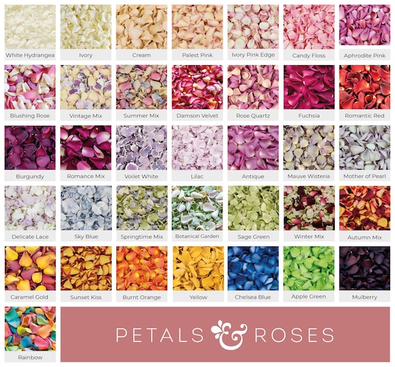 Wedding Confetti - Rose Petals | Hydrangea Petals | Biodegradable Freeze Dried Petals | Table Decor, Aisle Runners, Flower Girl Petals