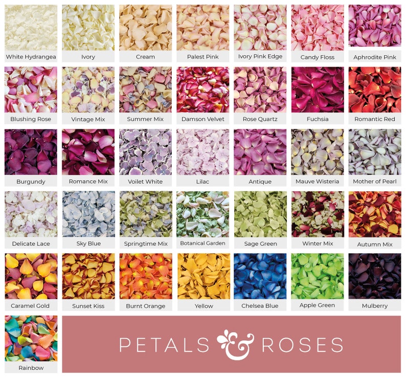 May include: A chart of 25 different colors of rose petals, labeled with their names. The colors include white, ivory, cream, pink, red, burgundy, blue, green, yellow, orange, and rainbow. The chart is titled "Petals & Roses".
