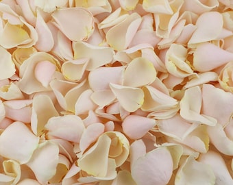 Pétales de rose séchés à la crème | Confettis de luxe biodégradables aux pétales de rose | Pétales romantiques | Pétales pour mariages, célébrations et événements
