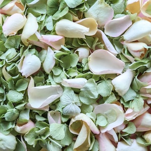 Miscela per giardino botanico / Petali di ortensia essiccati veri / Petali biodegradabili / Petali per coriandoli da matrimonio, decorazioni da tavola, decorazioni per eventi, artigianato