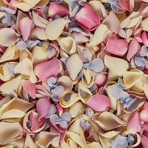 Biodegradable Wedding Confetti Purple Pink Blue Green White Cerise Heart Mixes 