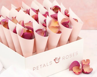 Confetti Cones, Box & Real Freeze Dried Flower Petals | Wedding Confetti Cones | Rose and Hydrangea Wedding Confetti (2 Litres, 25 cones)