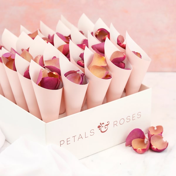 Confetti Cones, Box & Real Freeze Dried Flower Petals | Wedding Confetti Cones | Rose and Hydrangea Wedding Confetti (2 Litres, 25 cones)