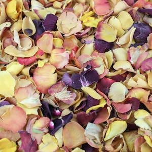 Peut inclure: Un mélange de pétales de rose séchées dans des tons de jaune, orange, rose et violet. Les pétales sont dispersés de manière aléatoire, créant un fond coloré et texturé.