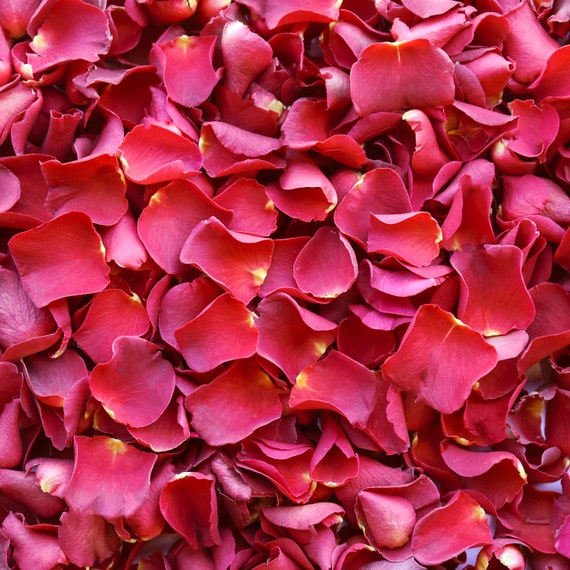 Red Dried Rose Petals Luxury Biodegradable Rose Petal Confetti