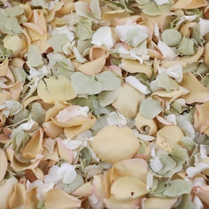 Petali misti di prato - Petali di rosa verde, crema, rosa / Petali secchi economici e biodegradabili / Coriandoli per matrimoni, decorazioni da tavola, decorazioni, artigianato