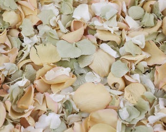 Blandade ängsblad - Gröna, krämfärgade, rosa rosenblad | Billiga, biologiskt nedbrytbara torkade kronblad | Bröllopskonfetti, Bordsdekoration, Dekor, Hantverk